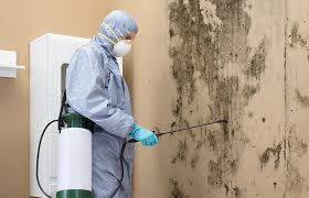 Best Mold Removal for HVAC Installations in Hopewell, NJ